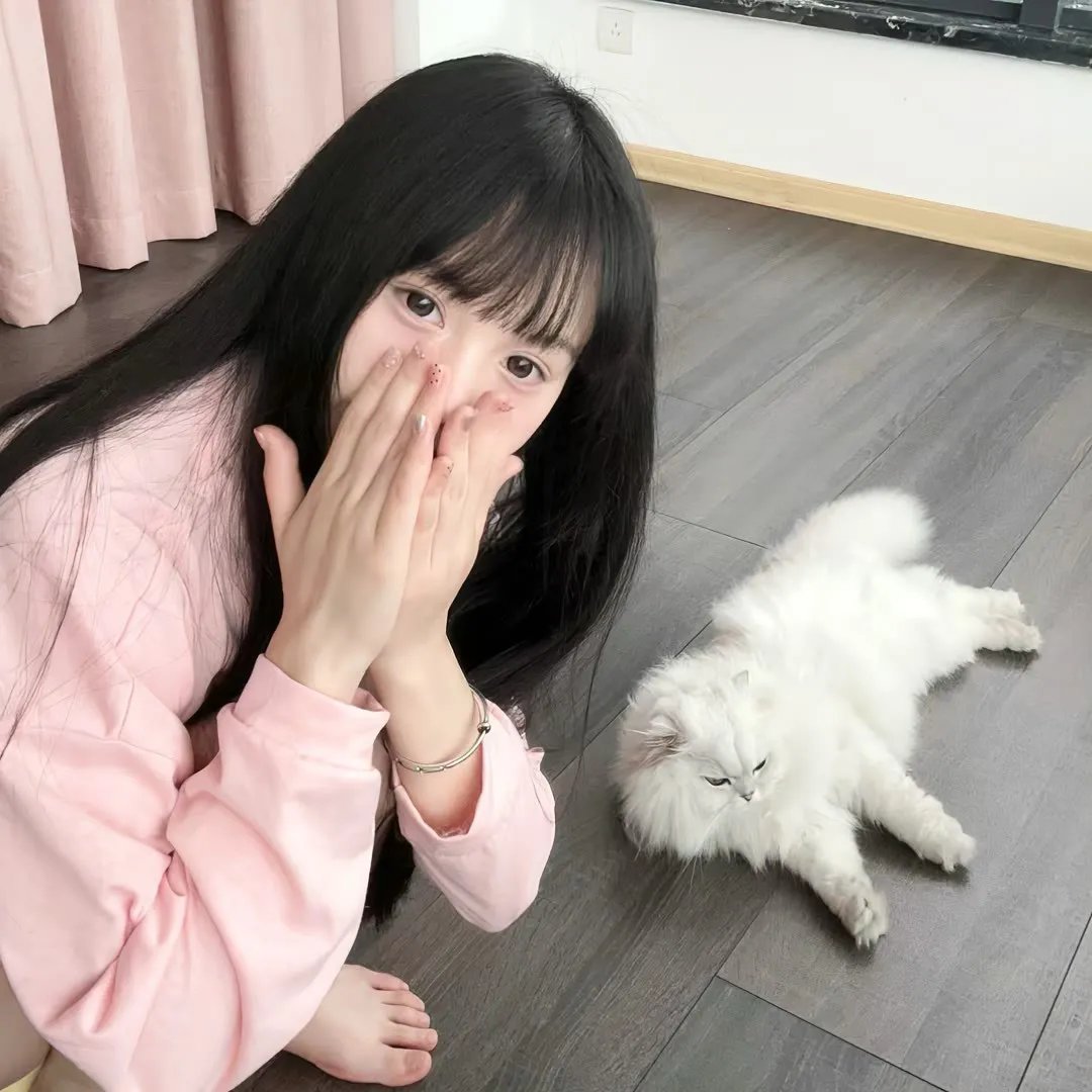 尽管去爱